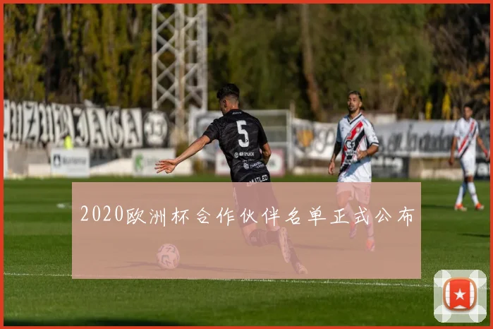 2020欧洲杯合作伙伴名单正式公布