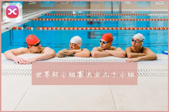 世界杯小组赛共分几个小组
